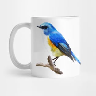 Dramabite Orange Flanked Bush Robin Watercolor Bird Watercolour Animal Mug